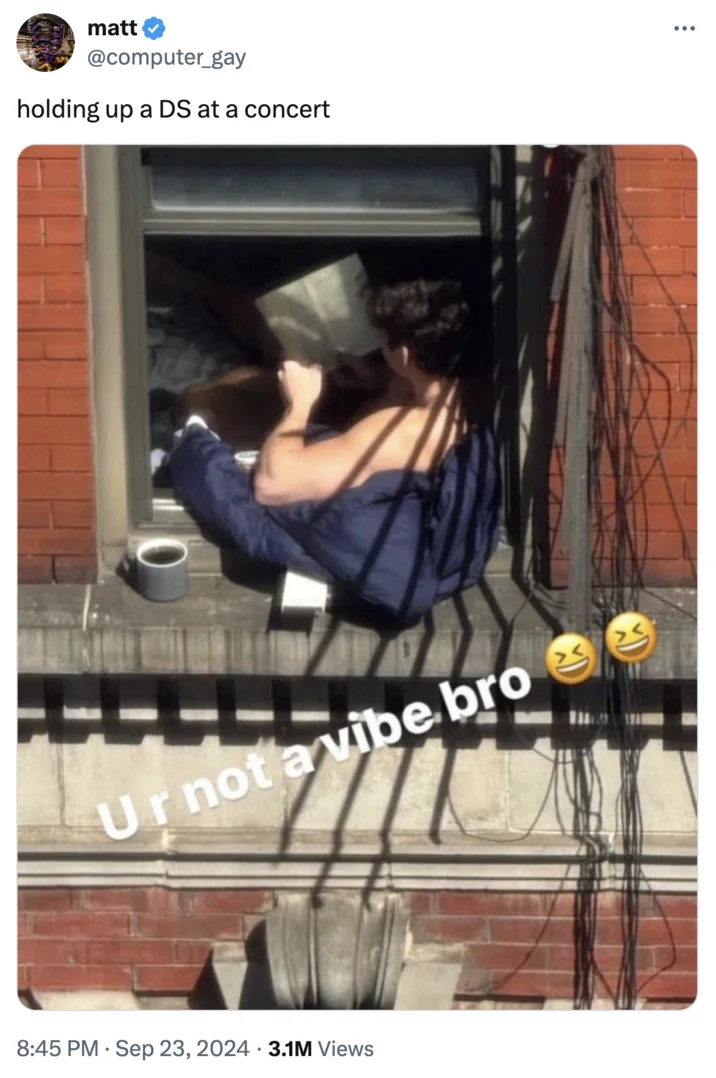 U R Not a Vibe Bro — Twitter screenshot pairing the vibe bro meme with the caption 'holding up a DS at a concert'.