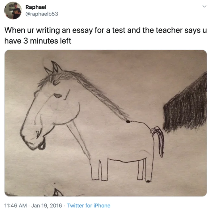 Unfinished Horse Drawing — Tweet with a horse drawing where the head is detailed but the body is a rough sketch, captioned about test time running out.