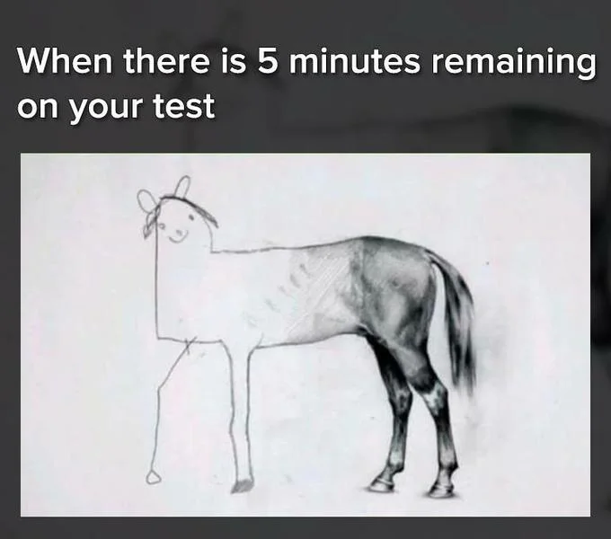 Unfinished horse drawing meme captioned 'When there is 5 minutes remaining on your test'.