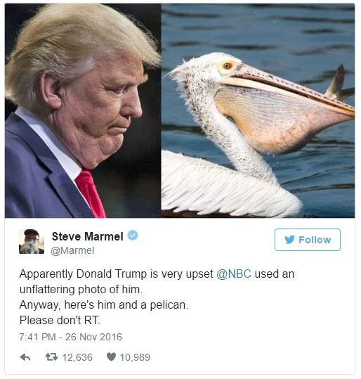 Unflattering Donald Trump — Twitter post comparing Trump profile to white pelican.