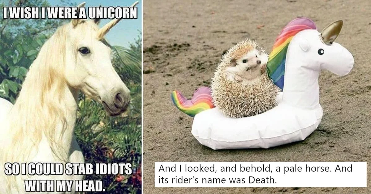Composite meme combining white horse template with hedgehog riding unicorn pool float variation.