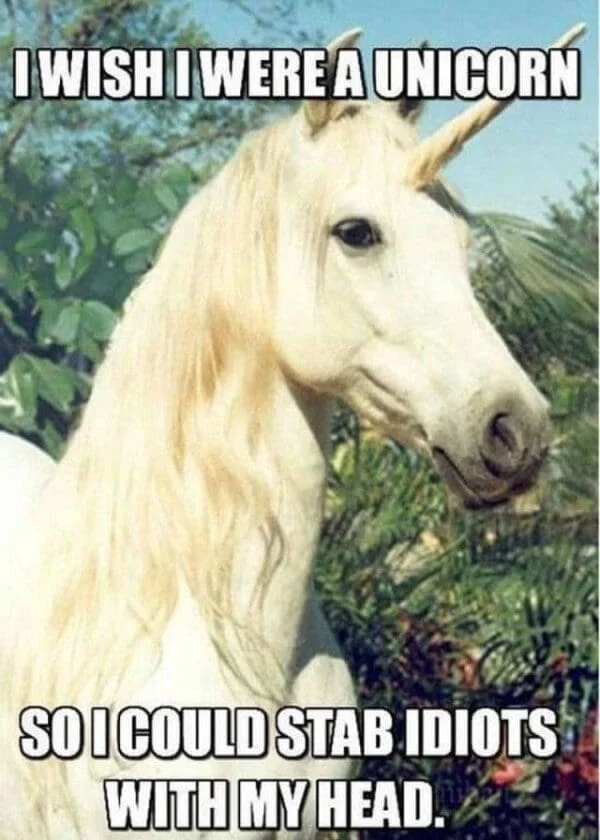 Definitive Unicorn meme template showing majestic white horse in profile with weaponized horn text.