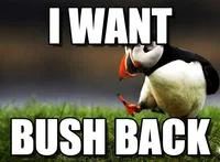 Unpopular Opinion Puffin — Baby puffin with text expressing political opinion.