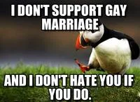 Unpopular Opinion Puffin — Baby puffin with text expressing social opinion.