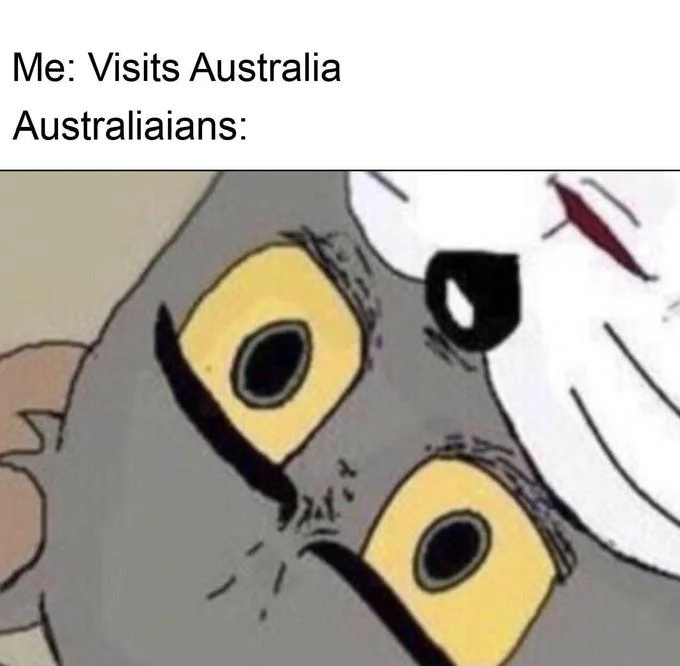 Upside-Down Australia — Inverted Unsettled Tom cat meme with caption 'Me: Visits Australia / Australiaians:'