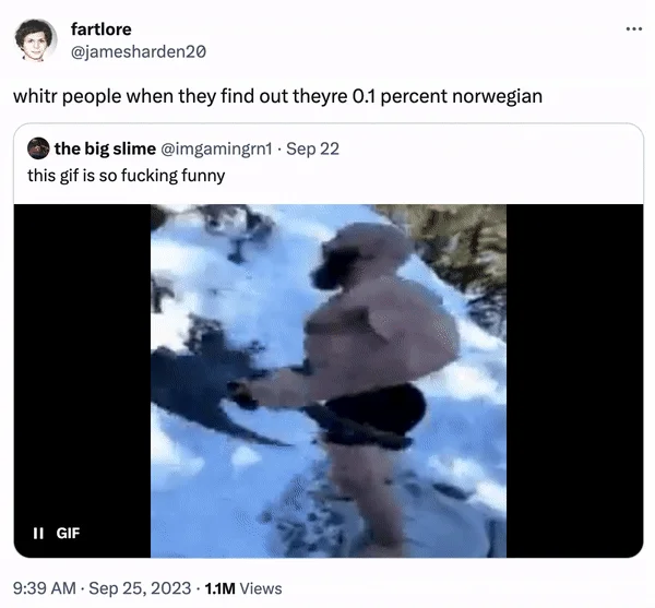 Viking Guy With Two Battle Axes Jumping Off a Snowy Cliff — Tweet joking about white people discovering they are 0.1 percent Norwegian, embedded with the
