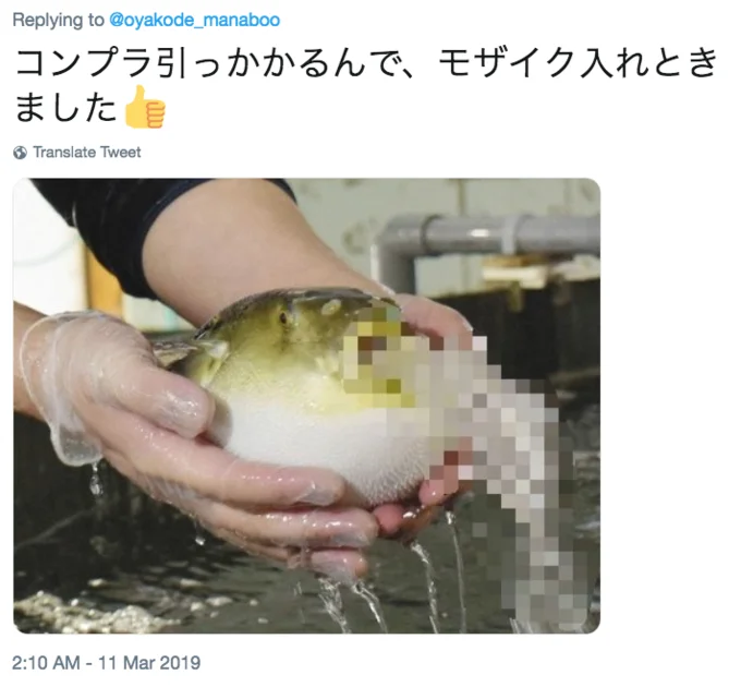 Vomiting Water Puffer Fish — Cropped cartoon puffer fish spewing blue water
