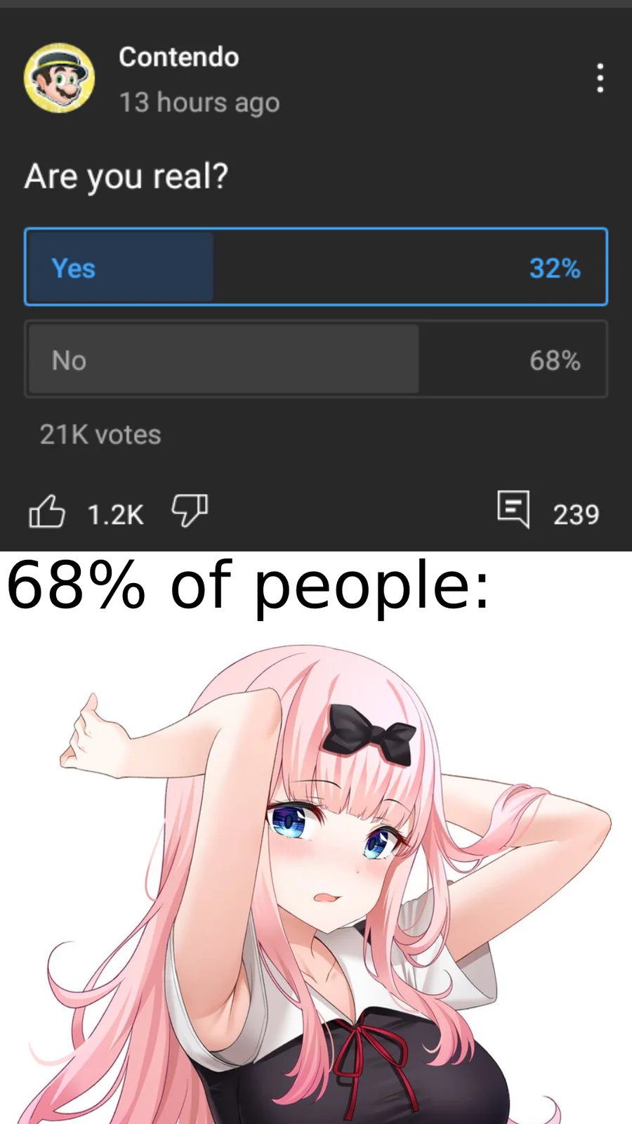 Reddit poll about waifu reality status.