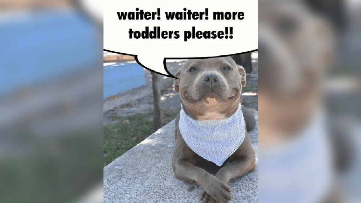 Smiling pit bull in white bandana with speech bubble reading 'waiter! waiter! more toddlers please!!'