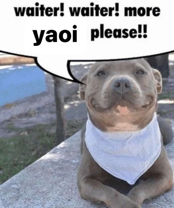 Waiter! Waiter! More Toddlers Please!! — Smiling pit bull meme with speech bubble reading 'waiter! waiter! more yaoi please!!'