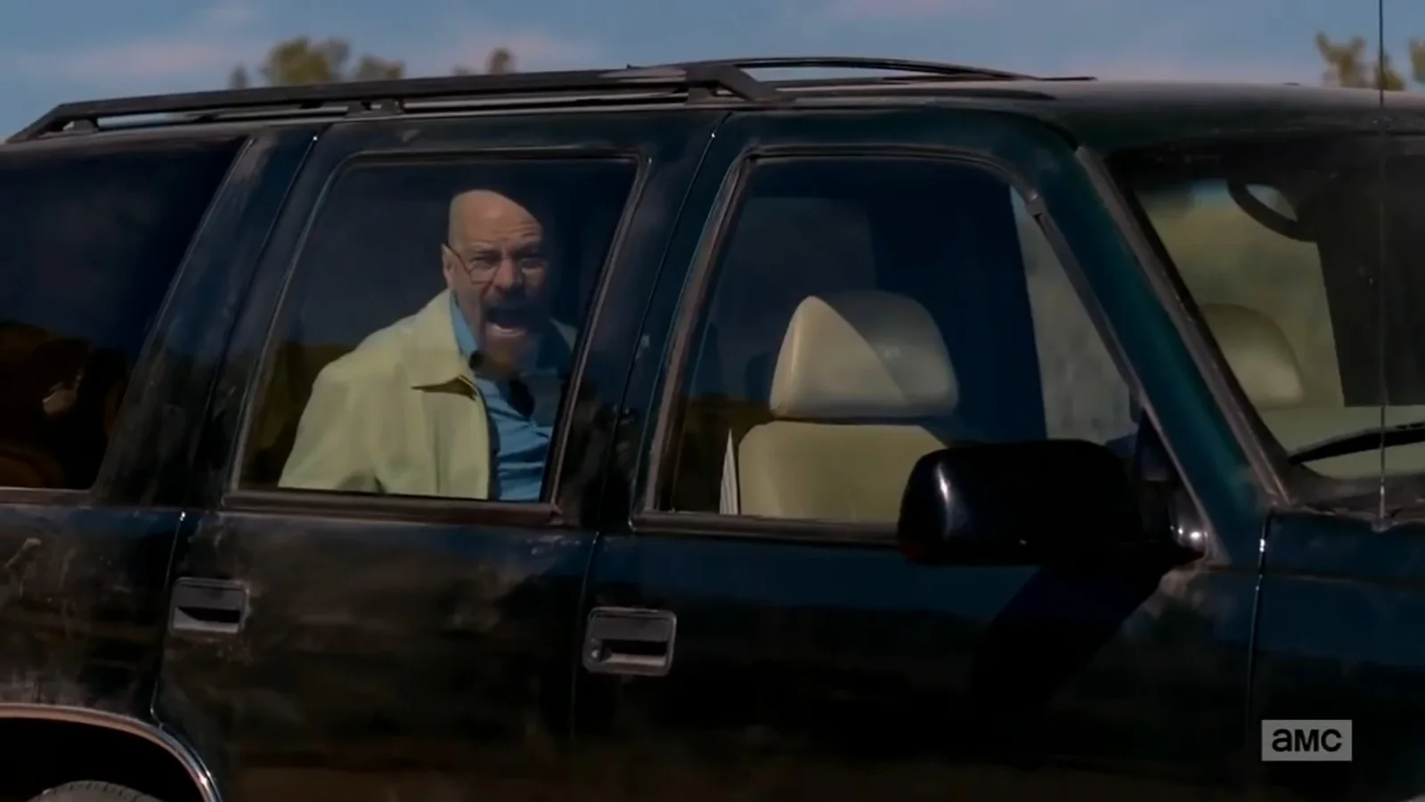 Walt Screaming In A Car