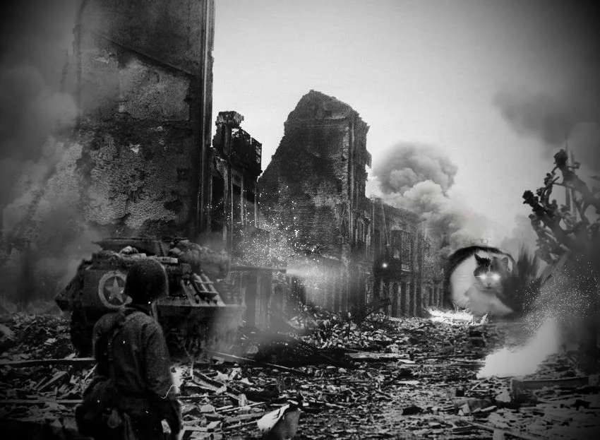 War Never Changes — Black-and-white ruined-city war photo manipulation with a glowing-eyed cat emerging from the smoke.