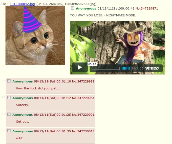 4chan thread screenshot with cat in party hat and 'wat' reply comments