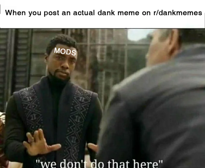 Meme labeled 'MODS' on T'Challa saying 'we don't do that here' with caption about posting dank memes on r/dankmemes.