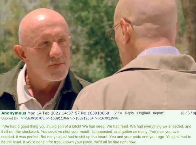 We Had A Good Thing You Stupid Son Of A Bitch — 4chan post using the Breaking Bad image with the copypasta rewritten in imageboard slang