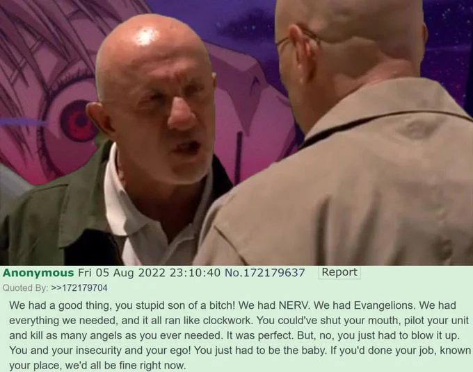 We Had A Good Thing You Stupid Son Of A Bitch — Breaking Bad Mike-and-Walt image edited over Evangelion background with a NERV-themed copypasta