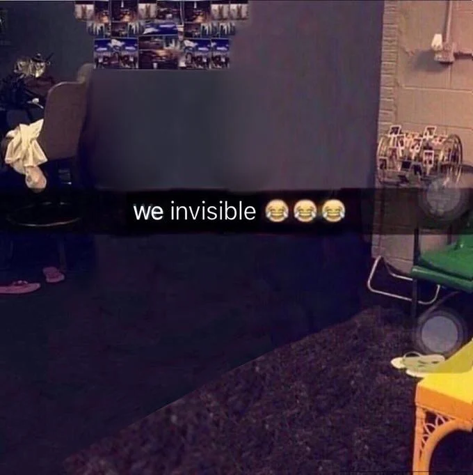 Edited 'We irritating' meme with subjects removed and caption 'we invisible'