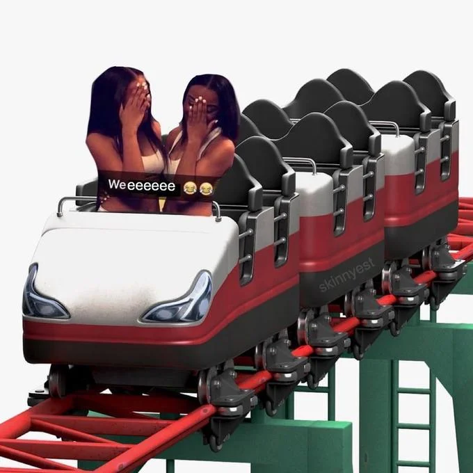 Photoshopped 'We irritating' women on a roller coaster with caption 'Weeeeeee'
