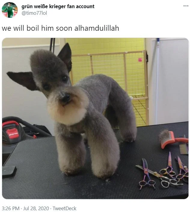 We Will Boil Him Soon Alhamdulillah — Twitter screenshot with dog and viral meme text.