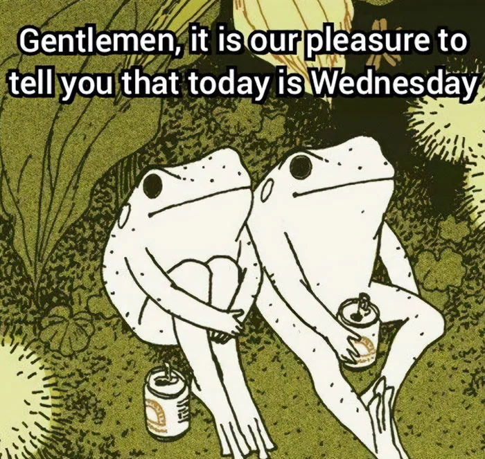 Wednesday Frog — Two cartoon frogs raising glasses announcing Wednesday.