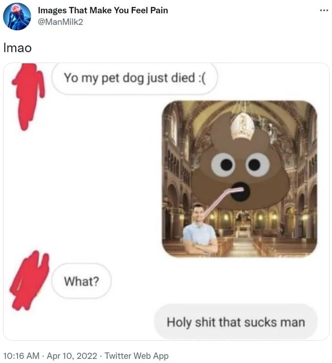 Well That Sucks — Twitter screenshot of a 'holy shit that sucks' visual pun reply to pet death message