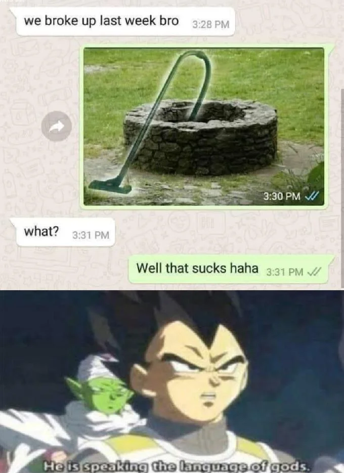 Well That Sucks — WhatsApp well-vacuum pun paired with Vegeta 'language of gods' reaction meme