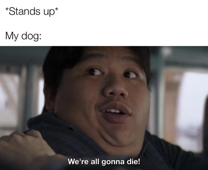 We're All Gonna Die — Meme about a dog's dramatic reaction when owner stands up, using the Ned Leeds panic image.