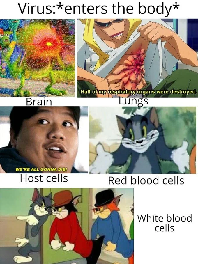 We're All Gonna Die — Multi-panel immune system meme featuring Mike Wazowski, All Might, Ned Leeds, and Tom cat as different body cells reacting to a virus.