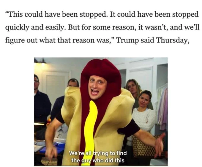 We're All Trying To Find The Guy Who Did This — News article excerpt with a Trump quote above the hot dog costume meme image.