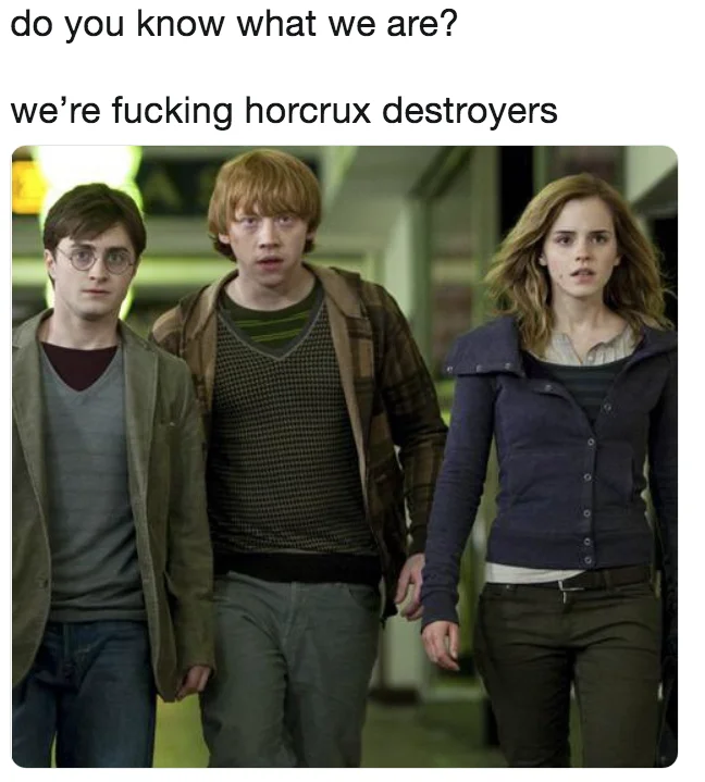 We're Fucking Cock Destroyers — Harry, Ron, and Hermione captioned 'we're fucking horcrux destroyers'.