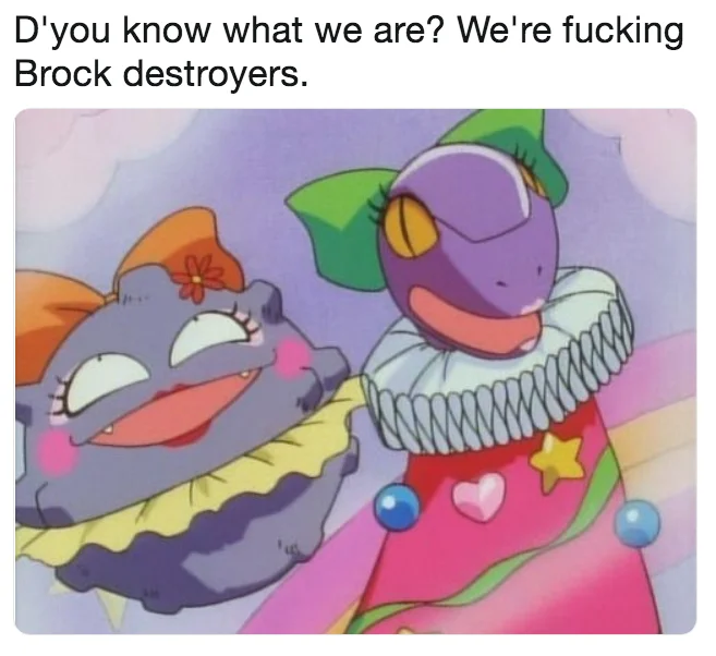 We're Fucking Cock Destroyers — Two costumed Pokémon captioned 'We're fucking Brock destroyers'.