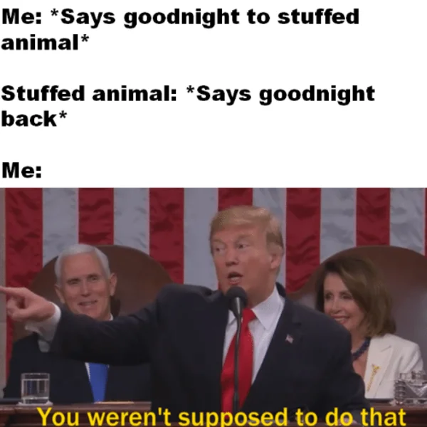 You Weren't Supposed to Do That — Goodnight stuffed animal with Trump reaction.
