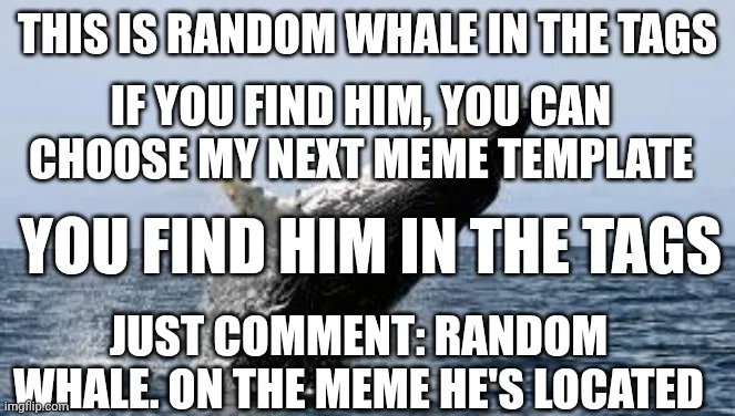 Whale meme