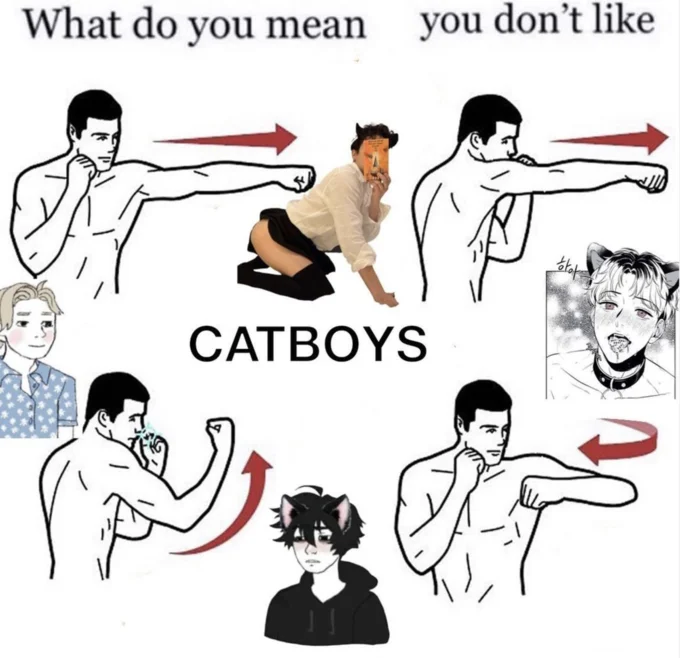 What Do You Mean You Don't Like X? — Boxing combo meme labeled 'CATBOYS' with catboy anime and cosplay images