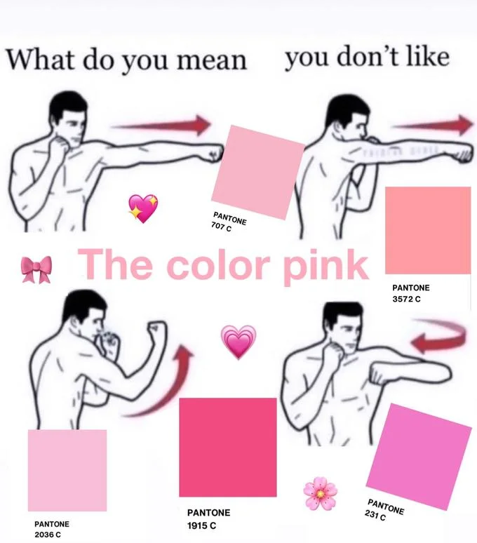 What Do You Mean You Don't Like X? — Boxing combo meme labeled 'The color pink' with Pantone pink swatches