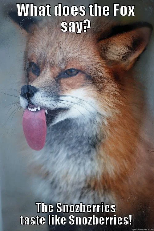 What Does the Fox Say — Playful fox with song title and Dahl reference.