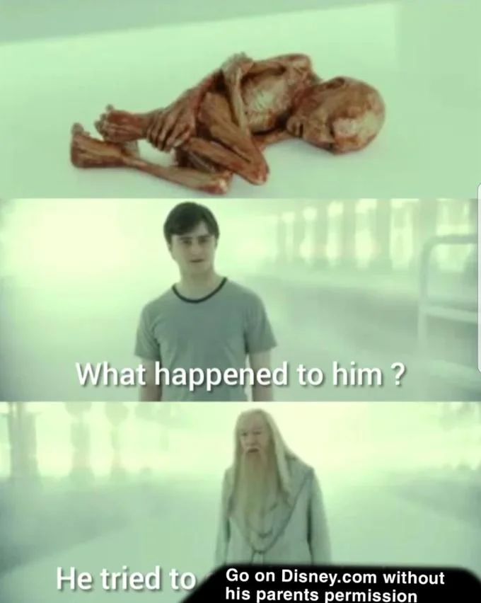 What Happened To Him — Harry Potter meme with Voldemort's ruined body and caption 'Go on Disney.com without his parents permission'.