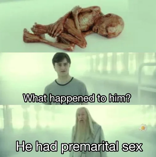 What Happened To Him — Harry Potter meme with Voldemort's ruined body and caption 'He had premarital sex'.