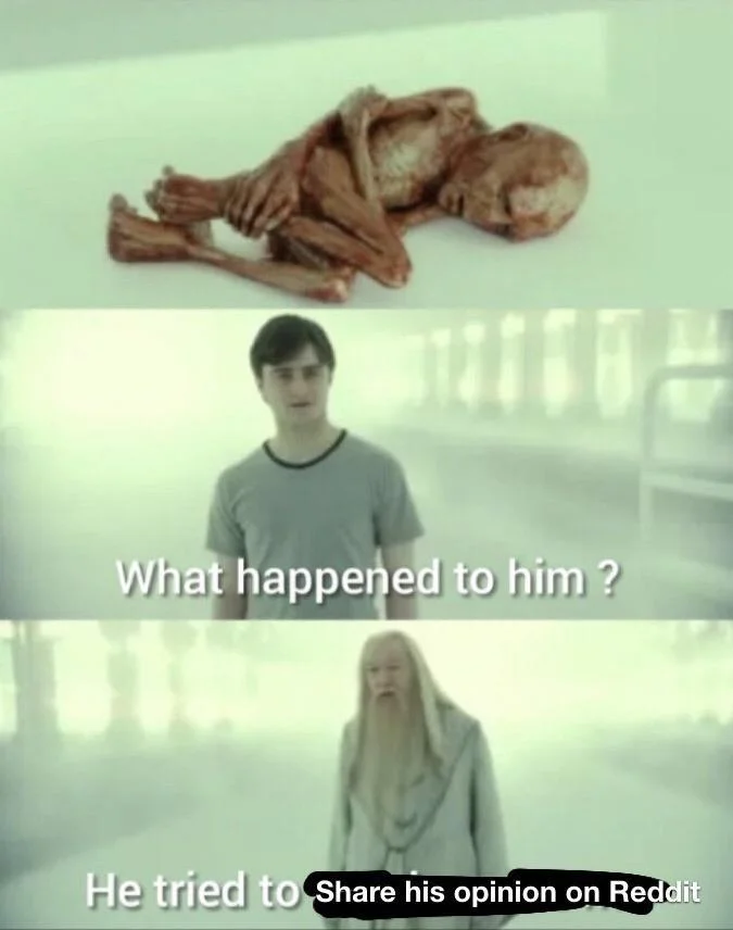 What Happened To Him — Harry Potter meme with Voldemort's ruined body and caption 'He tried to share his opinion on Reddit'.
