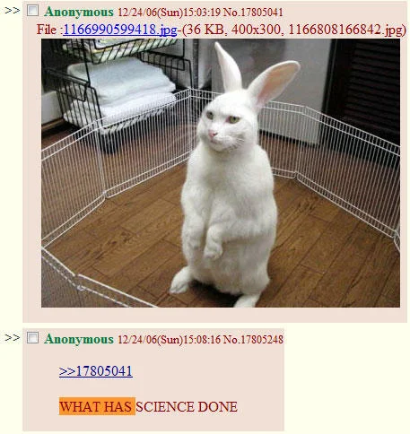 What Has Science Done — White rabbit standing upright on hind legs.