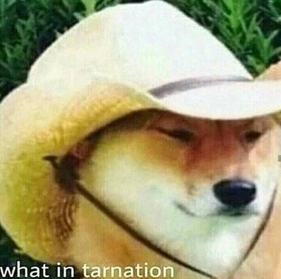 What in Tarnation — A clean, high-quality version of the canonical Shiba Inu in a yellow cowboy hat.