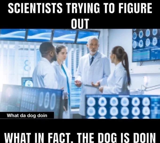 What The Dog Doin — A lab setting with four scientists examining data, captioned with the viral 'What da dog doin' phrase.