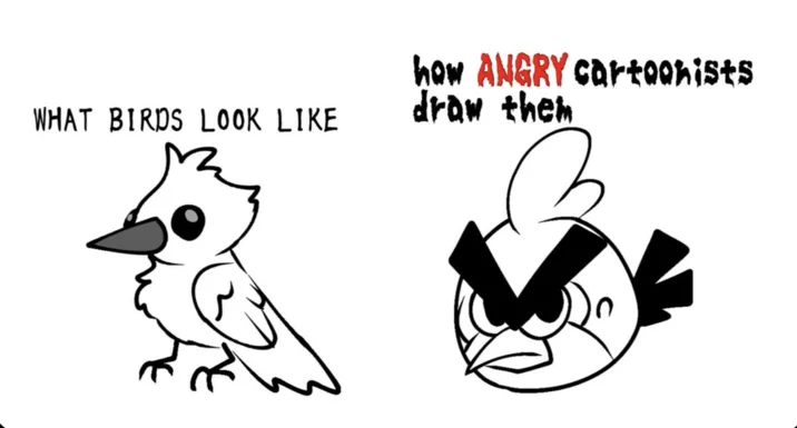 What X Looks Like Vs How X Draws Them — WHAT BIRDS LOOK LIKE how ANGRY cartoonists draw them