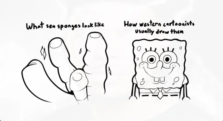 What X Looks Like Vs How X Draws Them — What sea sponges look like How western cartoonists Usually draw them