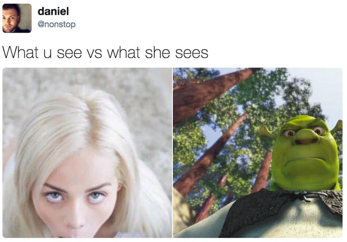 What You See vs. What She Sees — Tweet with blonde woman and Shrek looking down from trees.