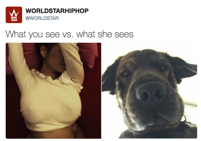 What You See vs. What She Sees — WorldStar tweet comparing woman in tight shirt to a sleepy dog.