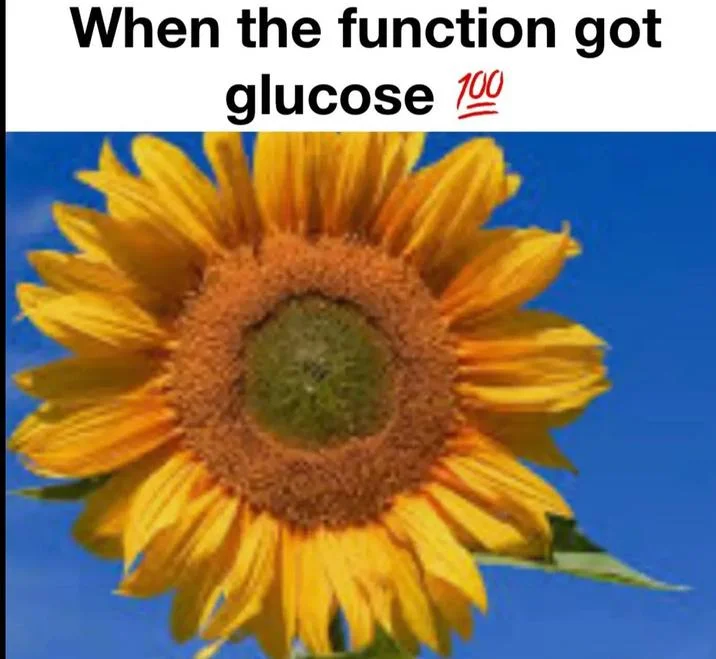When the Function Got X — Sunflower against blue sky with caption 'When the function got glucose 100'