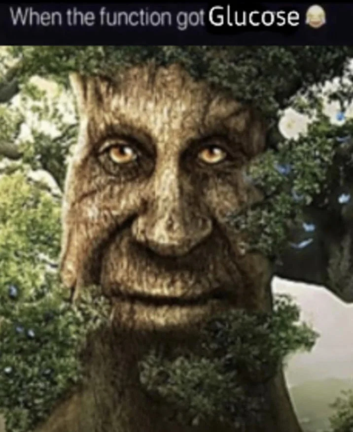 When the Function Got X — Wise Mystical Tree face with caption 'When the function got Glucose'