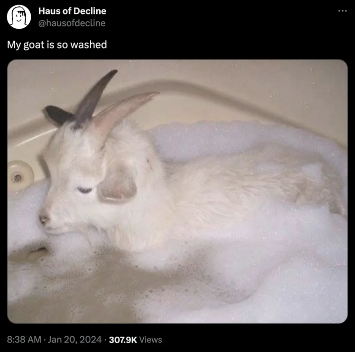 When You Find Out Your GOAT Washed — Twitter post 'My goat is so washed' showing a baby goat in a bubble bath.