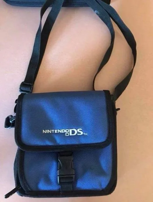 When You See it... — Blue Nintendo DS carrying bag resting on a pink surface